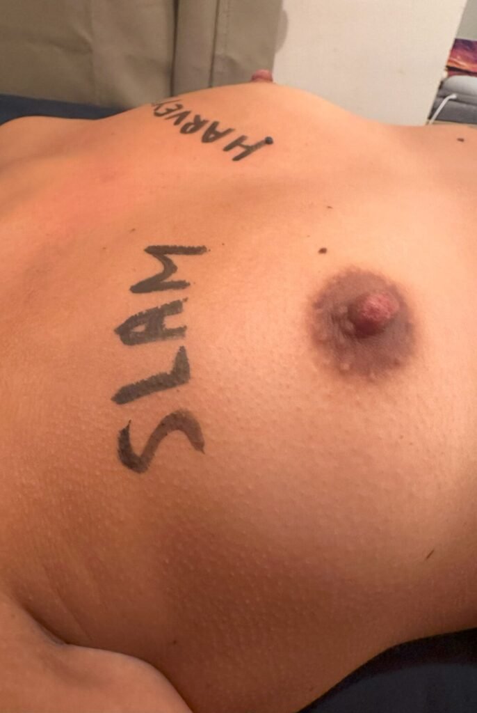 Dedicaces Decembre 2023